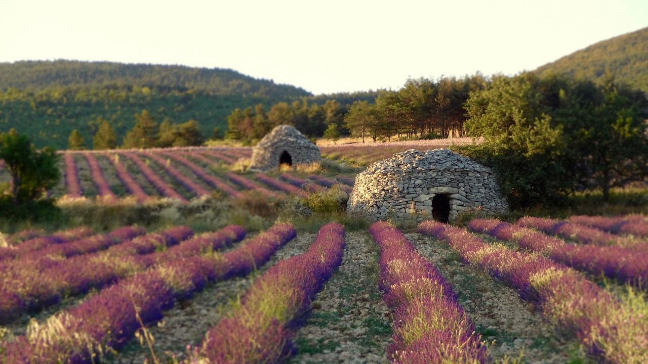 Chateau Ferrassieres מראה חיצוני תמונה